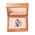 Omega - Seamaster Planet Ocean 600M