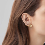 Annamaria Cammilli - Desert Rose Ohrstecker