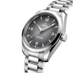 Omega - Seamaster Railmaster
