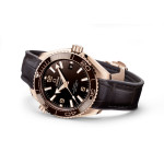 Omega - Seamaster Planet Ocean 600M