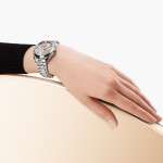 Omega - Seamaster Aqua Terra Shades