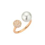 Gellner - MODERN CLASSICS Ring