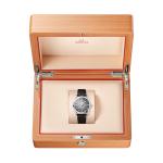 Omega - Seamaster Railmaster