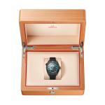 Omega - Seamaster Planet Ocean 600 M