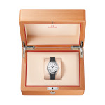 Omega - Seamaster Aqua Terra 150 M
