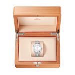 Omega - Seamaster Planet Ocean 600M
