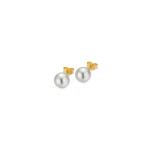 Gellner - BASICS Ohrstecker