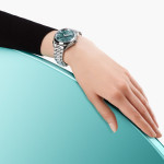Omega - Seamaster Aqua Terra Shades