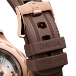 Omega - Seamaster Diver 300M