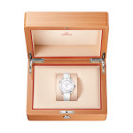 Omega - Seamaster Planet Ocean 600 M