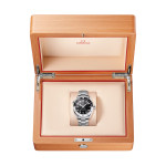 Omega - Seamaster Planet Ocean 600M