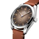 Omega - Seamaster Railmaster