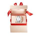 Omega - Seamaster Aqua Terra 150 M