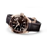 Omega - Seamaster Planet Ocean 600M
