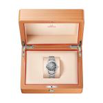 Omega - Seamaster Railmaster
