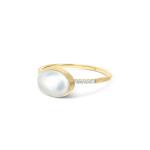 Nanis - Boules Ring