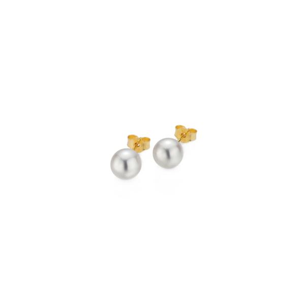 Gellner - BASICS Ohrstecker