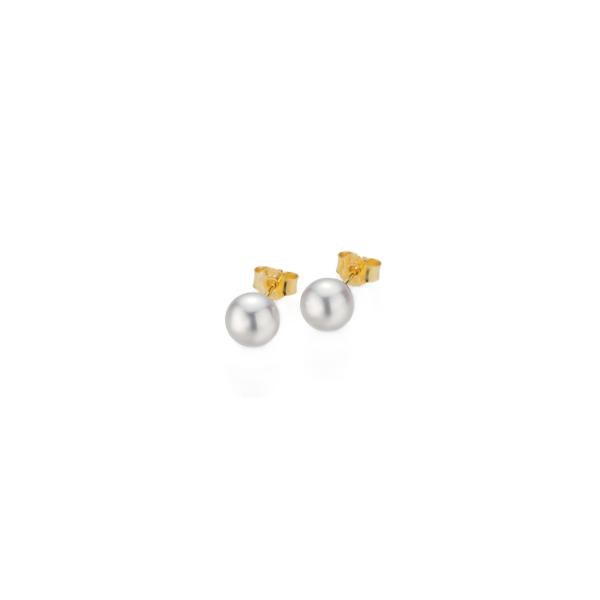 Gellner - BASICS Ohrstecker