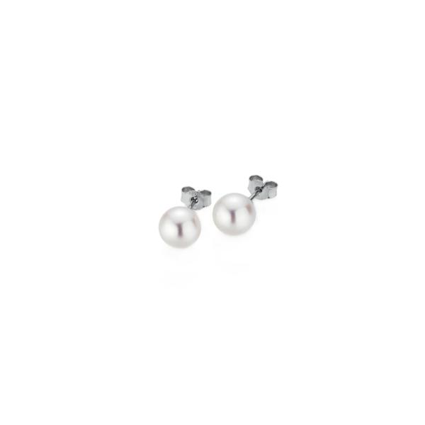 Gellner - BASICS Ohrstecker 