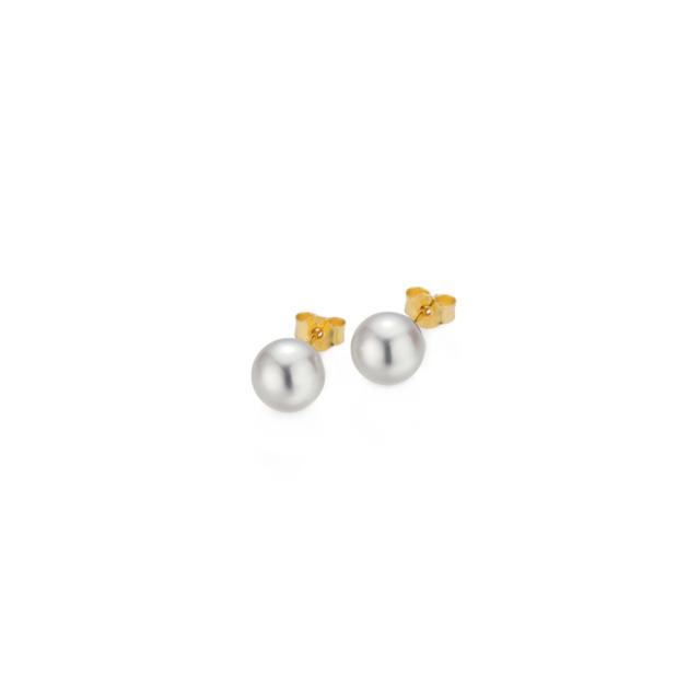 Gellner - BASICS Ohrstecker