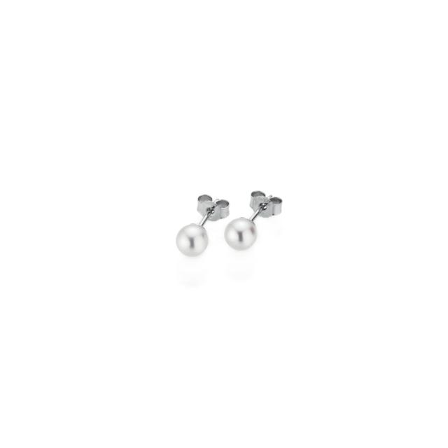 Gellner - BASICS Ohrstecker