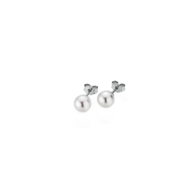 Gellner - BASICS Ohrstecker