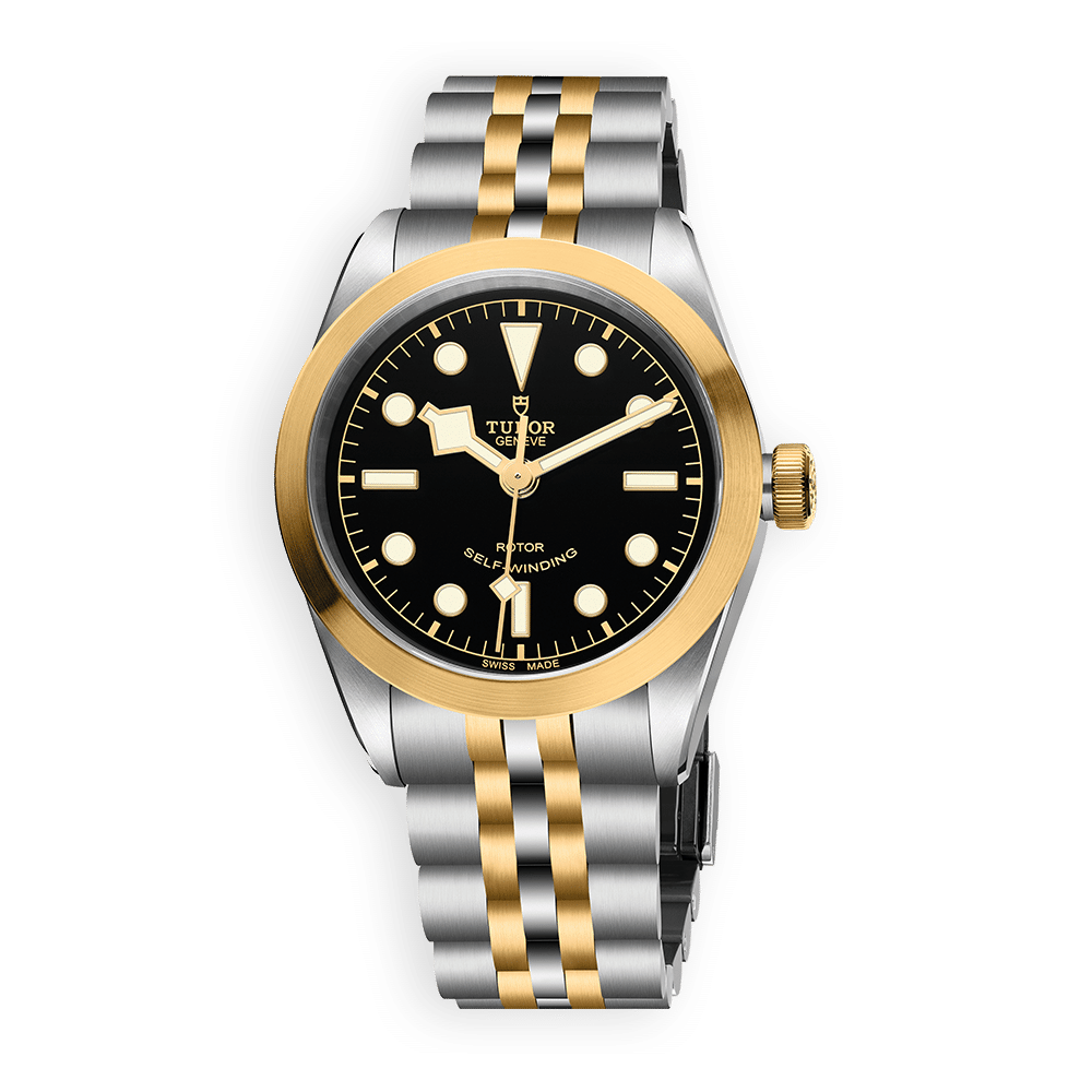 F19_Tudor_Black_Bay_41_SG_79503_41mm_original