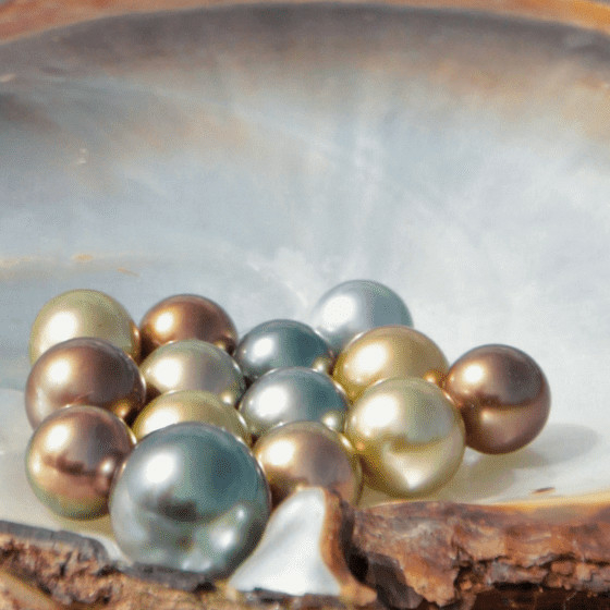 Banner_Perlenlexikon_teaser